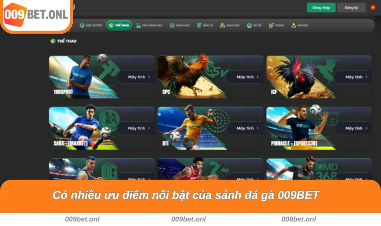 Có nhiều ưu điểm nổi bật của sảnh đá gà 009BET 