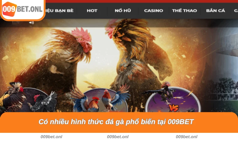 Có nhiều hình thức đá gà phổ biến tại 009BET 
